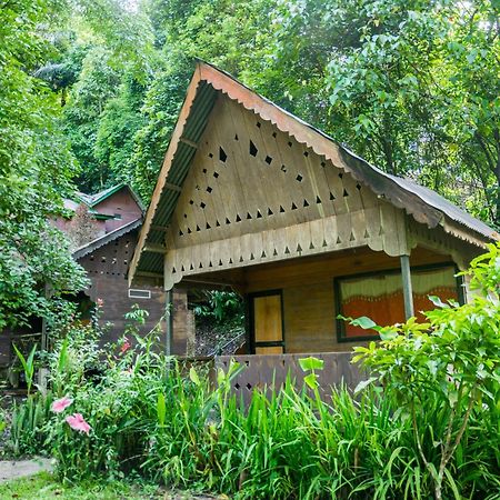 Pak Mus Guest House Ketambe - 0813-7072-1793 Kutacane Luaran gambar