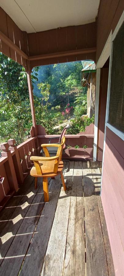 Pak Mus Guest House Ketambe - 0813-7072-1793 Kutacane Luaran gambar