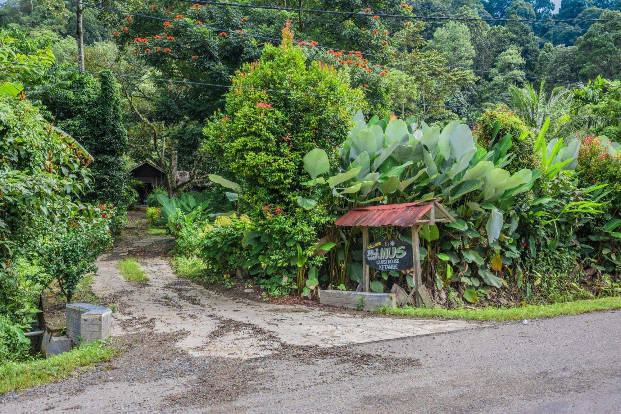Pak Mus Guest House Ketambe - 0813-7072-1793 Kutacane Luaran gambar