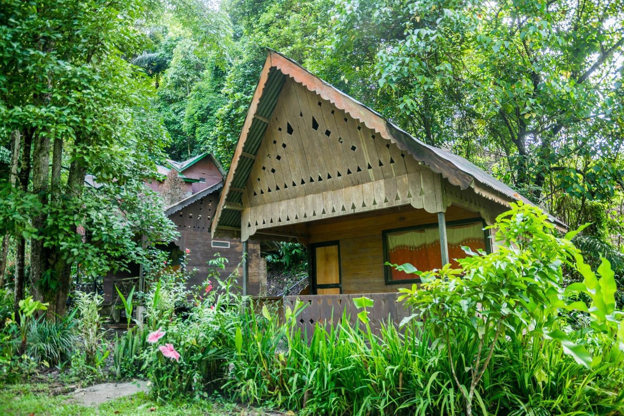 Pak Mus Guest House Ketambe - 0813-7072-1793 Kutacane Luaran gambar