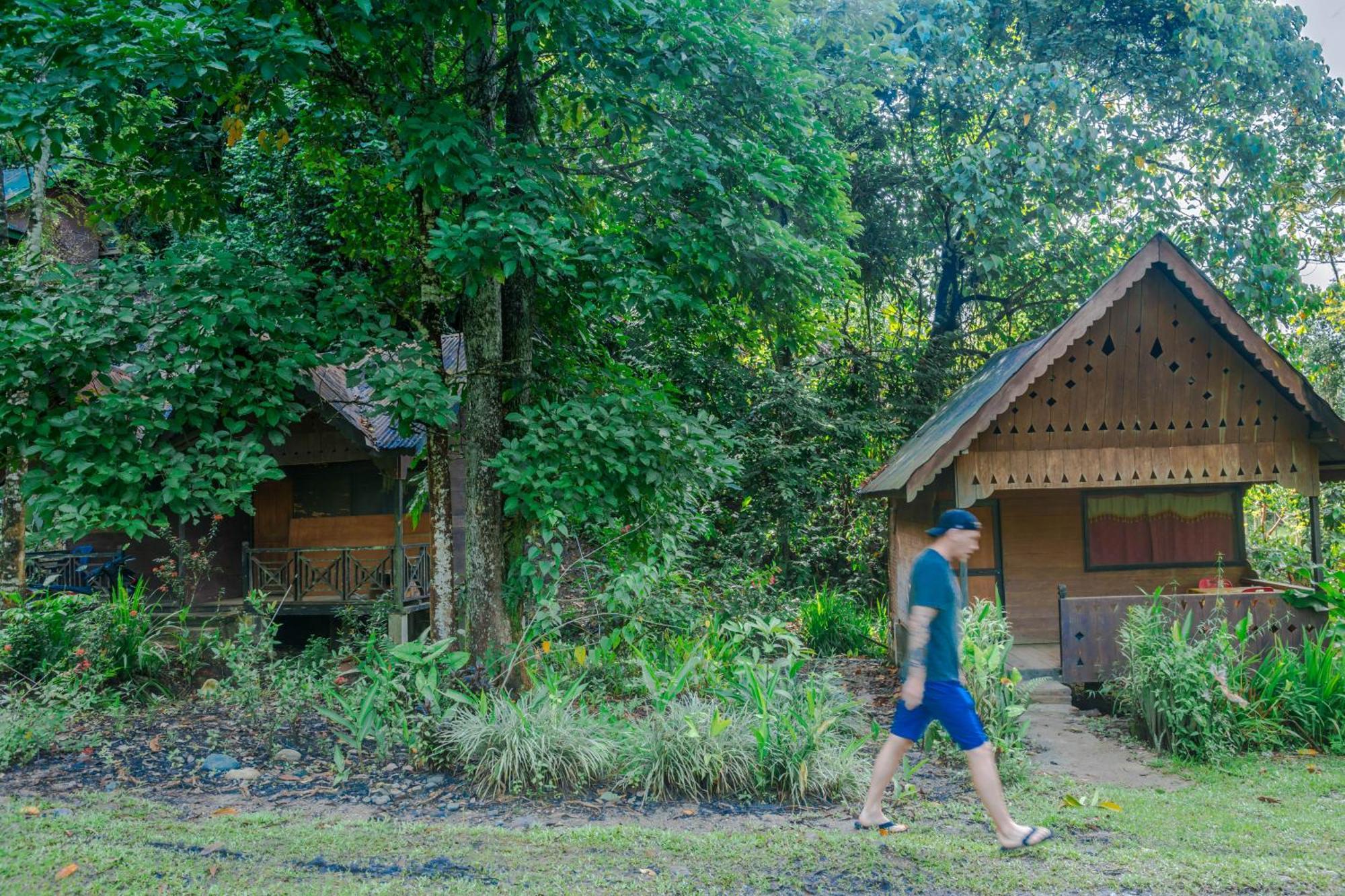 Pak Mus Guest House Ketambe - 0813-7072-1793 Kutacane Luaran gambar