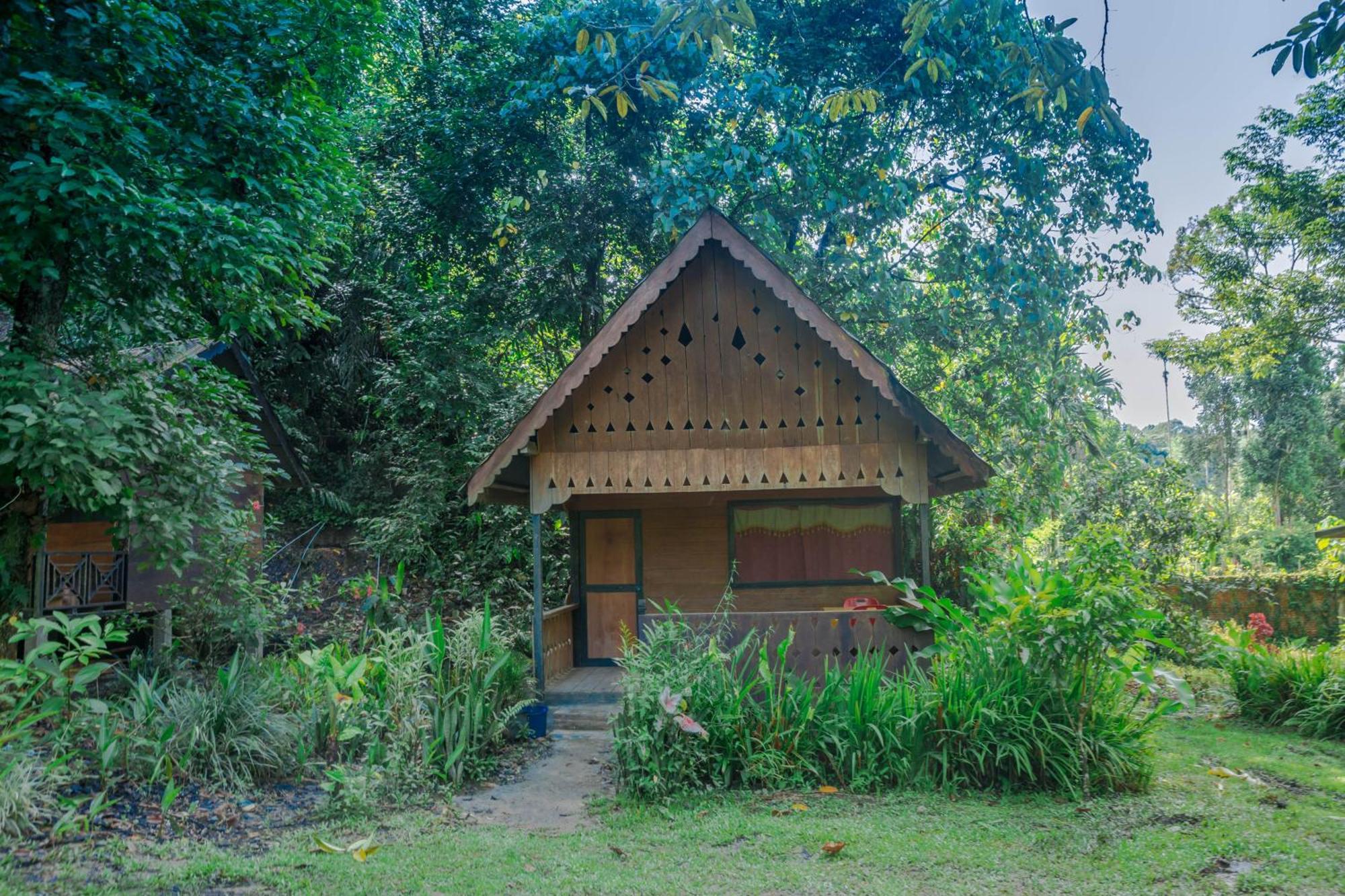 Pak Mus Guest House Ketambe - 0813-7072-1793 Kutacane Luaran gambar