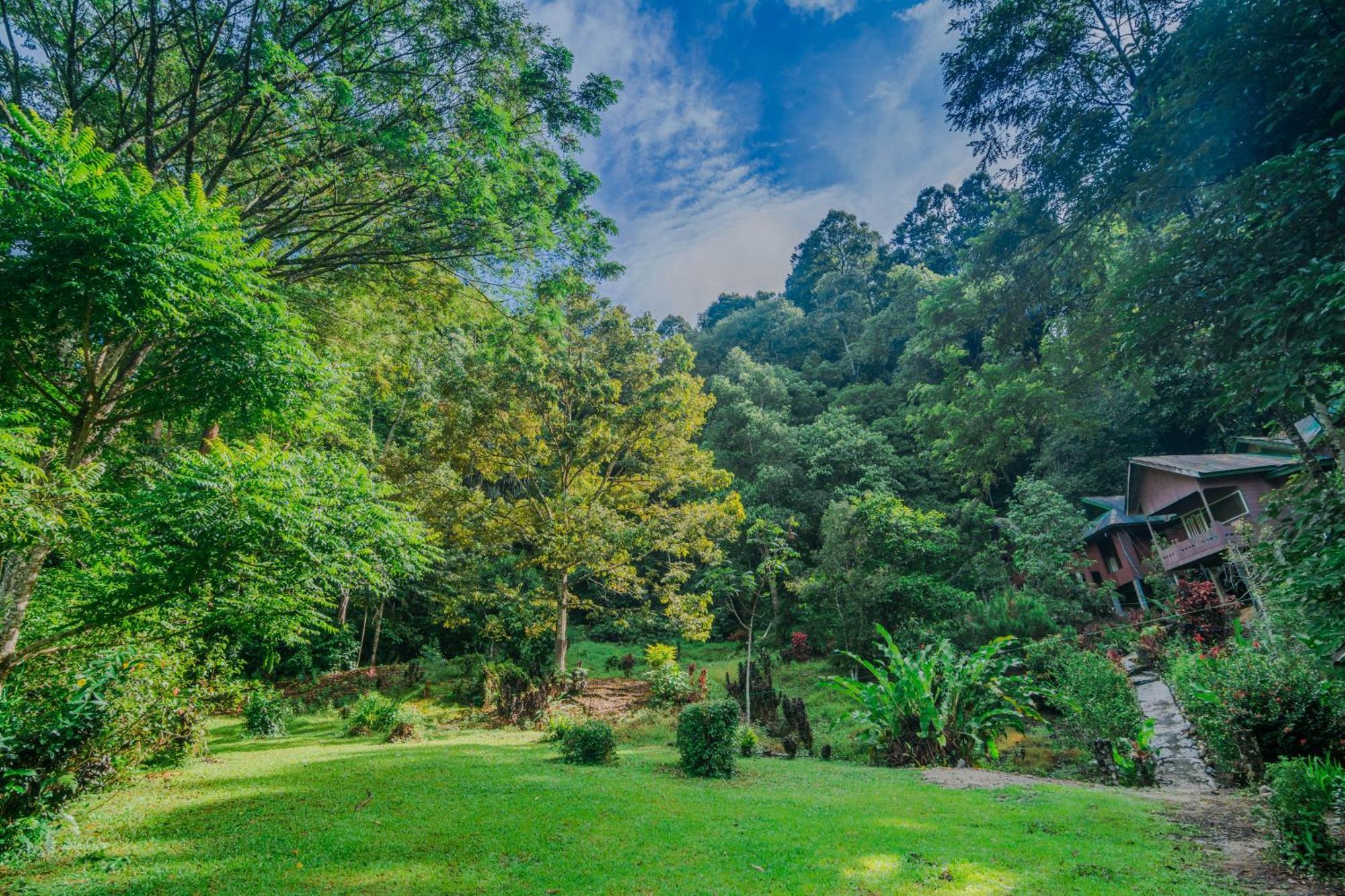 Pak Mus Guest House Ketambe - 0813-7072-1793 Kutacane Luaran gambar