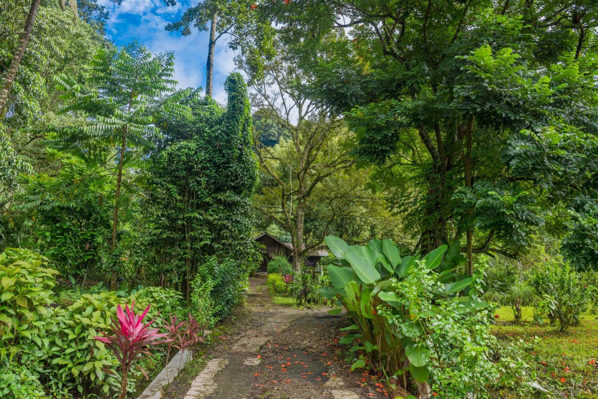Pak Mus Guest House Ketambe - 0813-7072-1793 Kutacane Luaran gambar