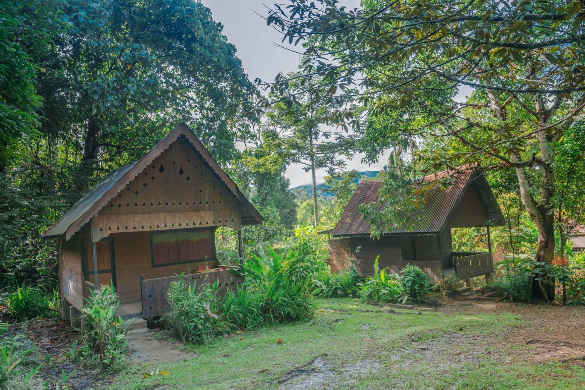 Pak Mus Guest House Ketambe - 0813-7072-1793 Kutacane Luaran gambar