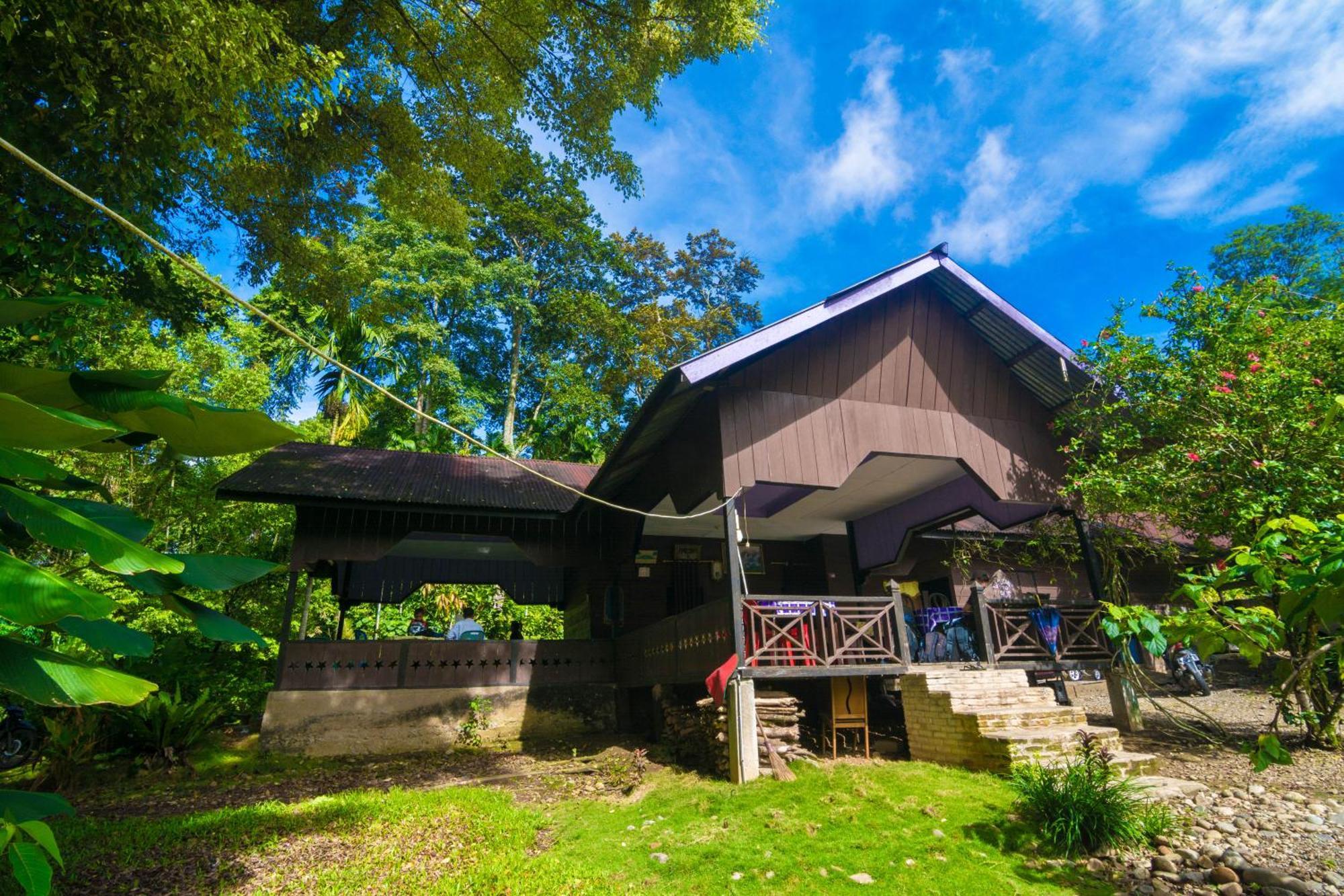 Pak Mus Guest House Ketambe - 0813-7072-1793 Kutacane Luaran gambar