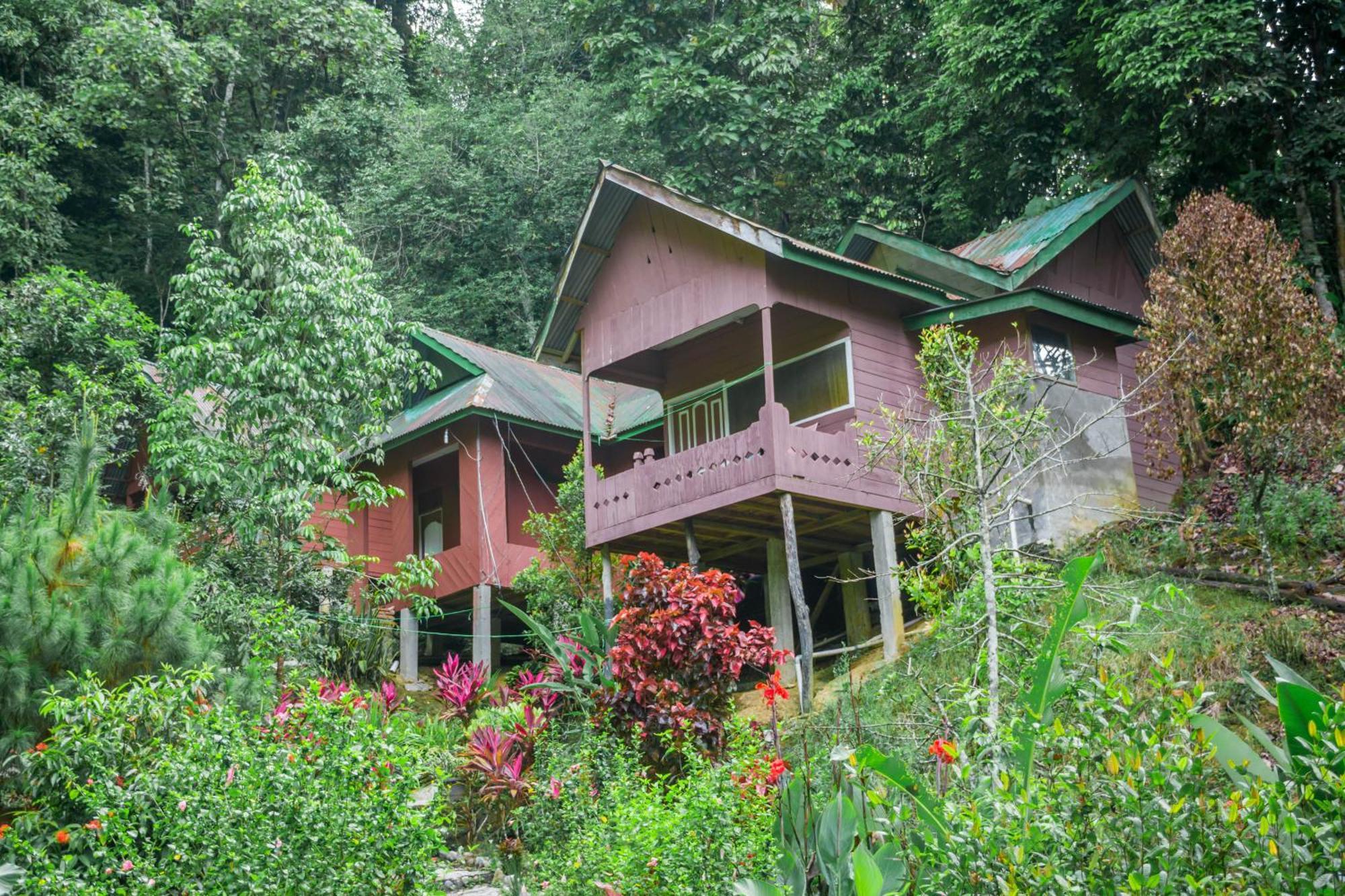 Pak Mus Guest House Ketambe - 0813-7072-1793 Kutacane Luaran gambar
