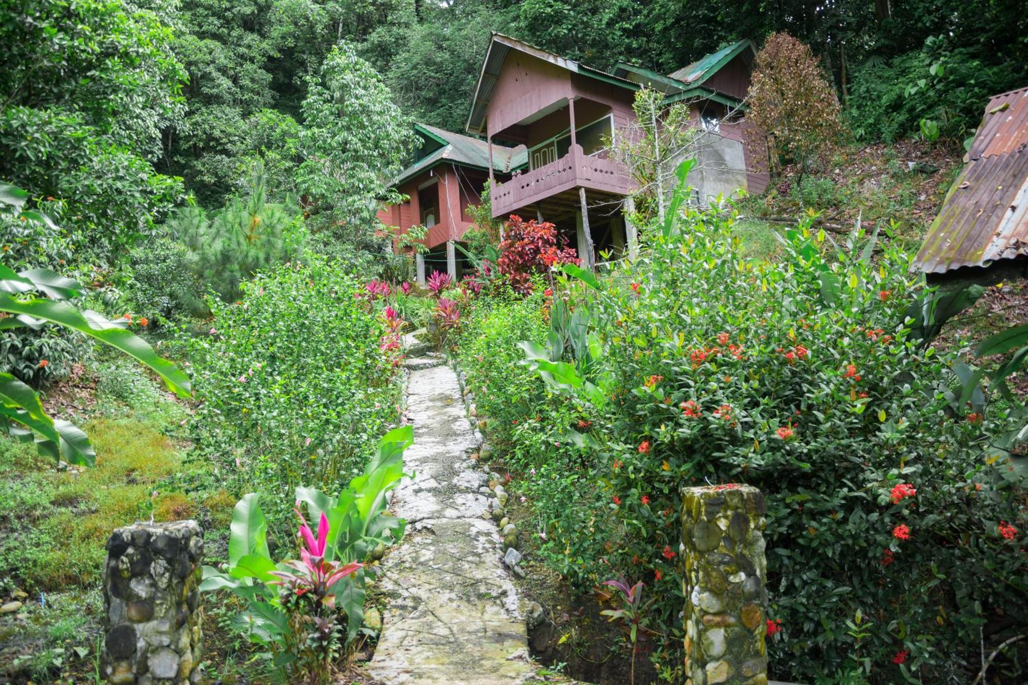 Pak Mus Guest House Ketambe - 0813-7072-1793 Kutacane Luaran gambar