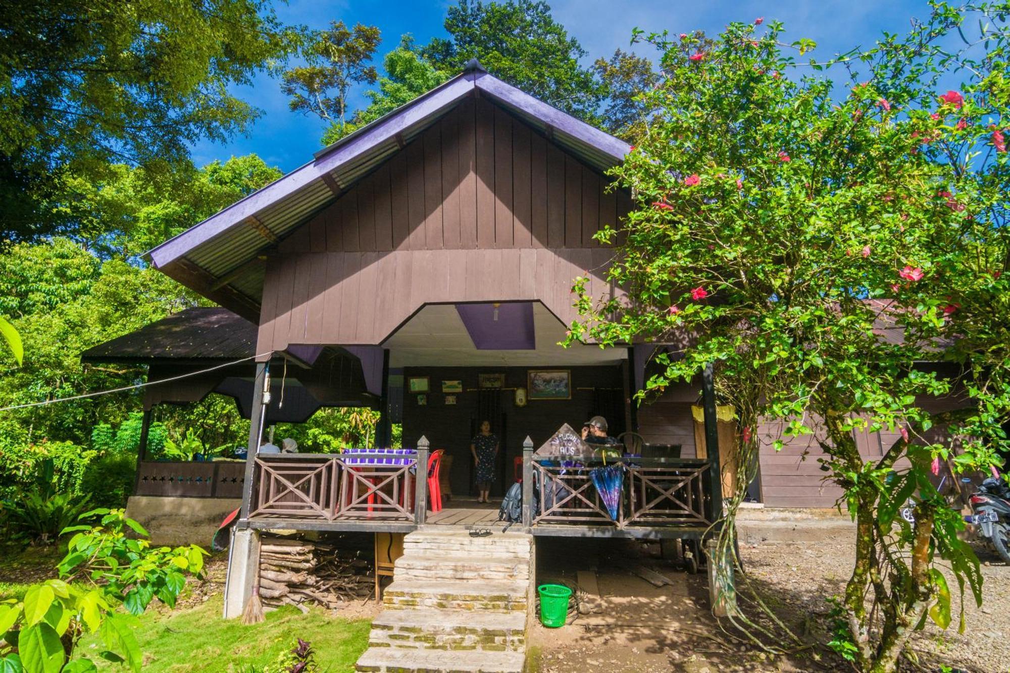 Pak Mus Guest House Ketambe - 0813-7072-1793 Kutacane Luaran gambar