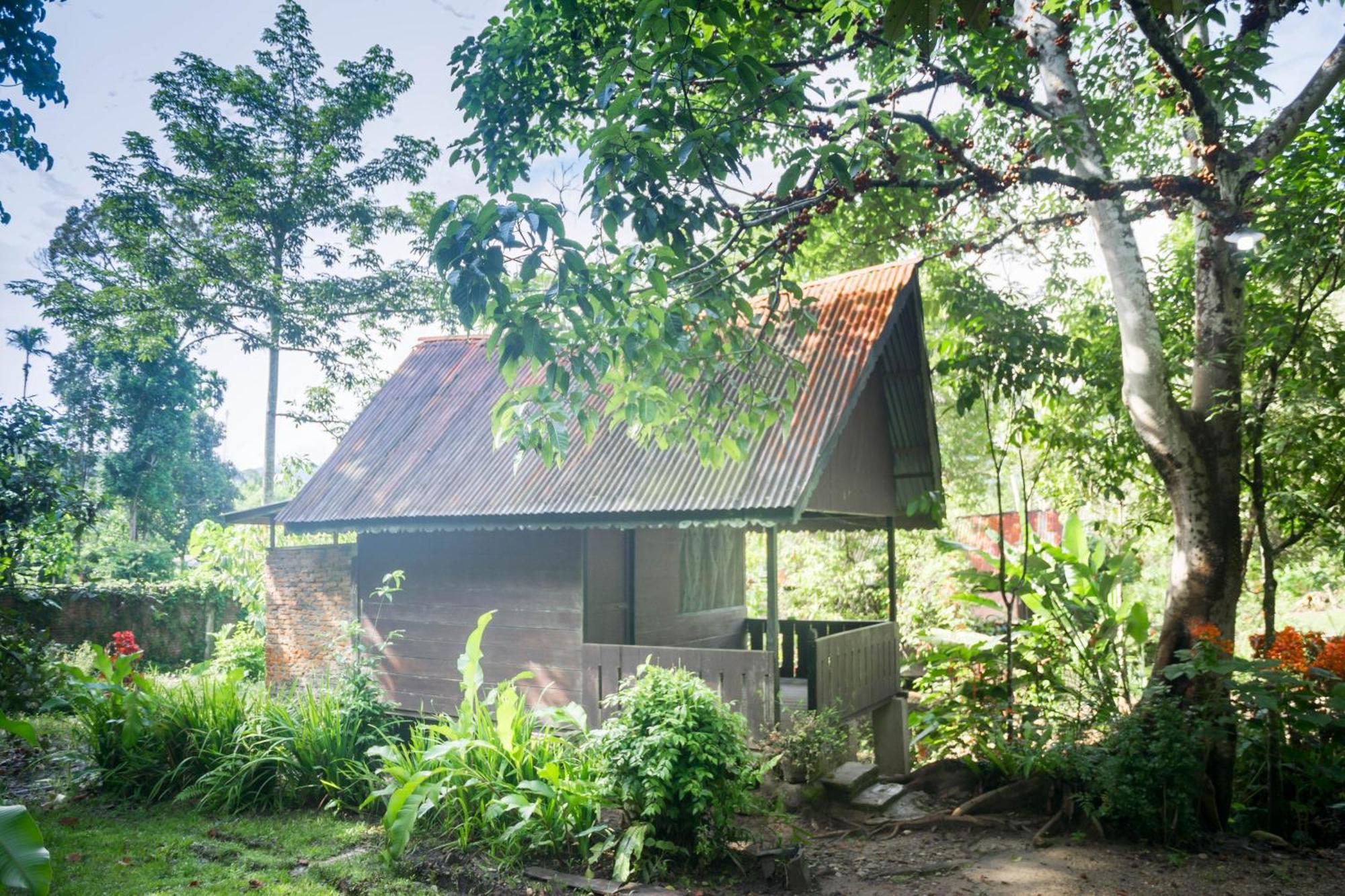 Pak Mus Guest House Ketambe - 0813-7072-1793 Kutacane Luaran gambar