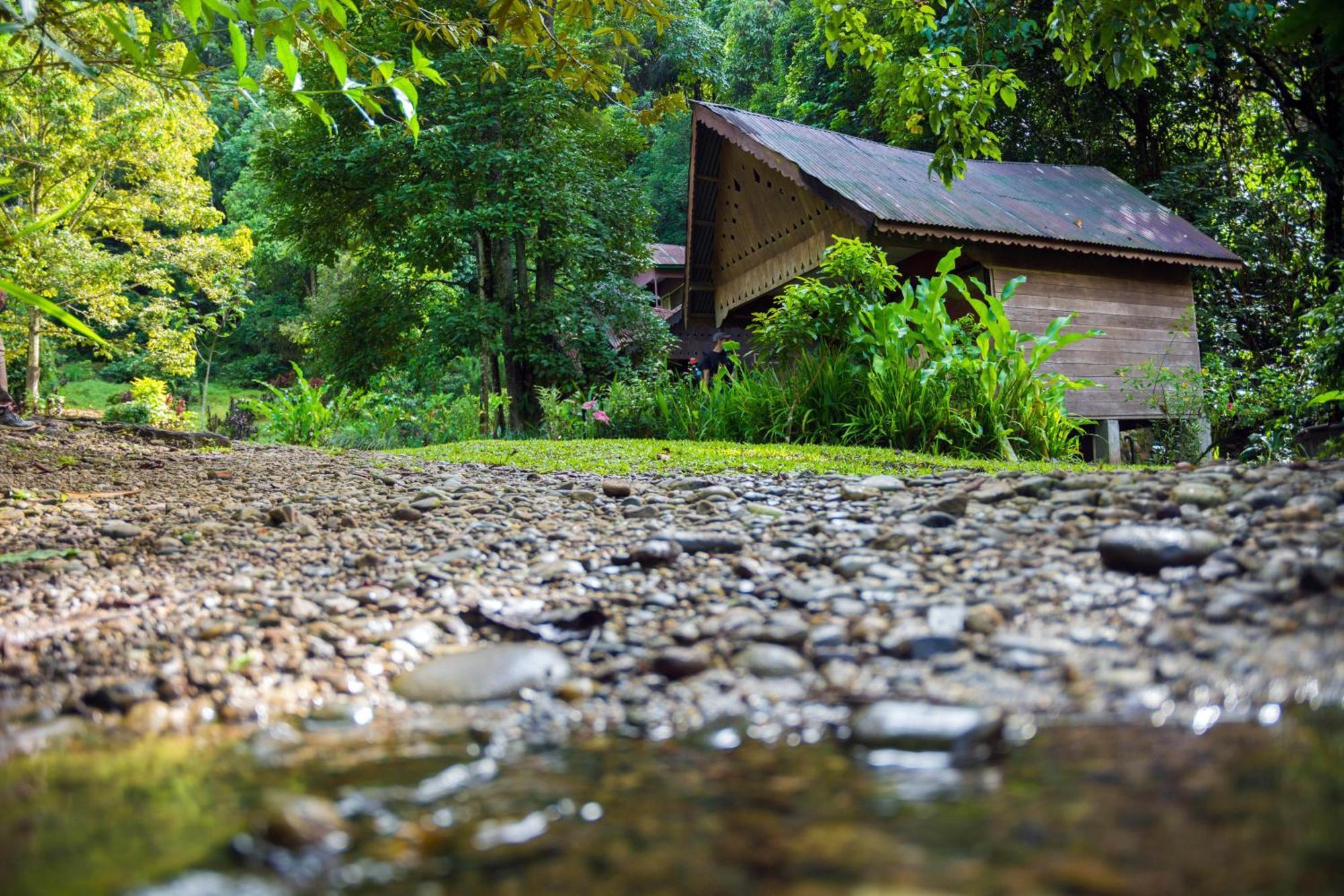 Pak Mus Guest House Ketambe - 0813-7072-1793 Kutacane Luaran gambar